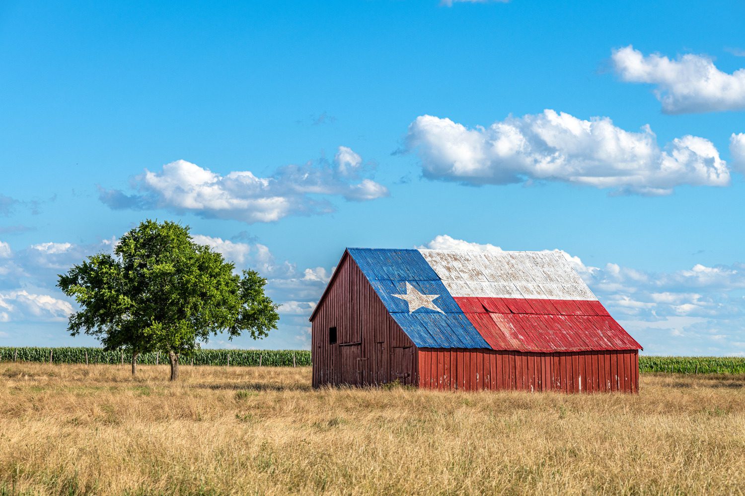 Texas Optometry Practice for Sale – Western Texas