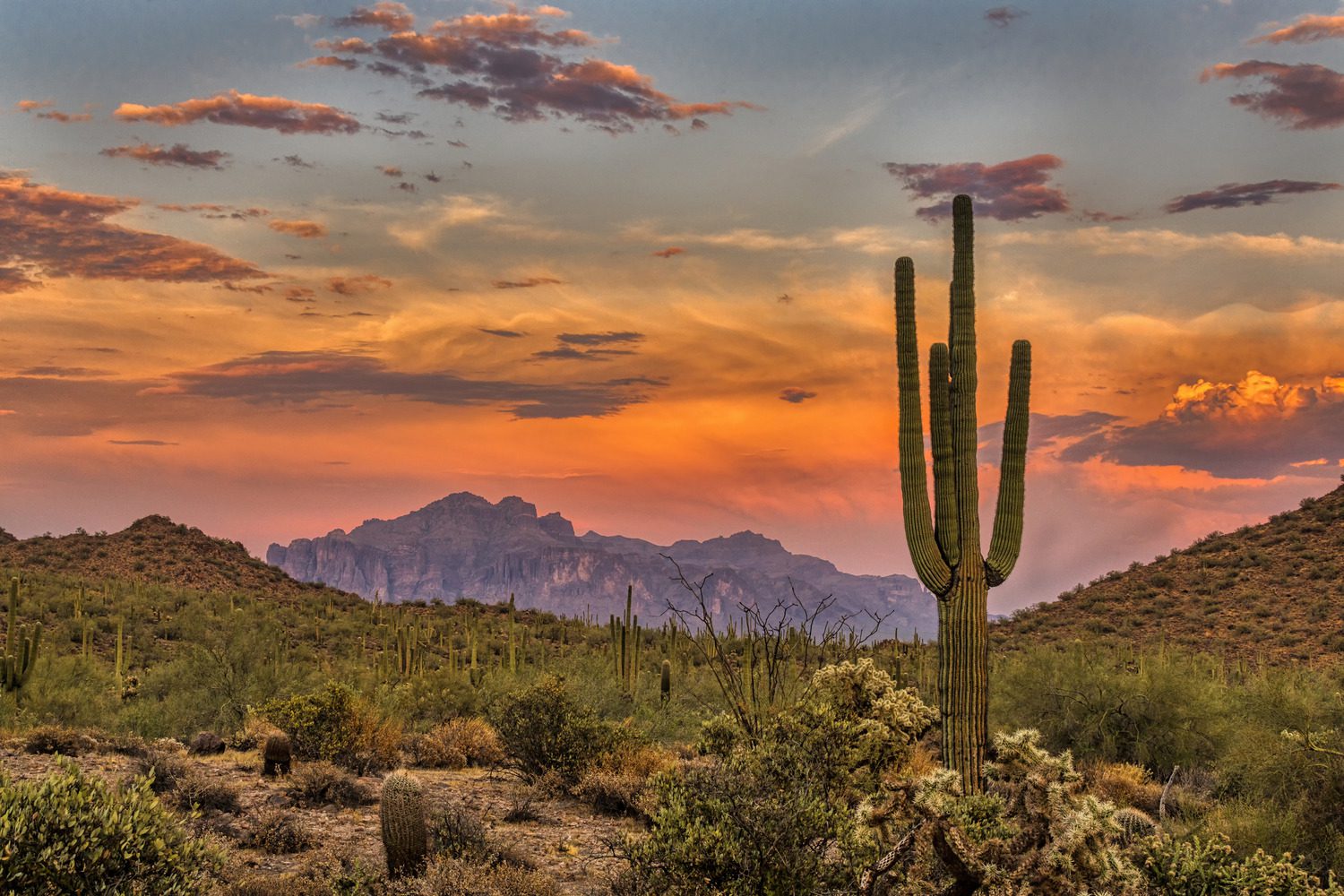 Arizona Optometry Practice for Sale – Phoenix, AZ Area