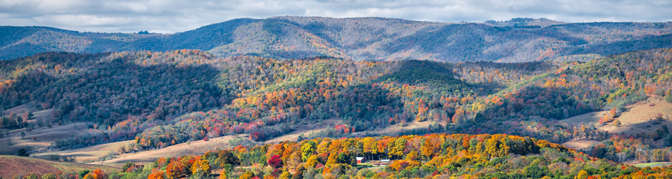 Virginia Optometry Practice for Sale – Richmond, VA Area
