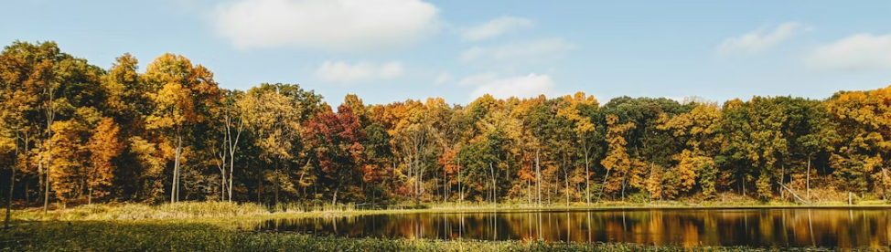 Indiana Optometry Practice for Sale – Fort Wayne, IN