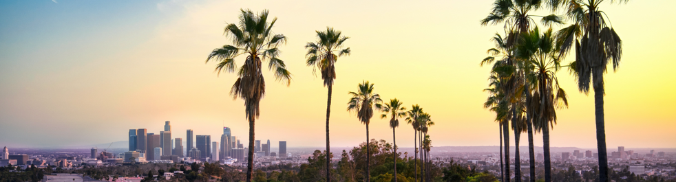 California Optometry Practice for Sale – LA County, CA