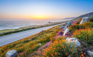 California Optometry Practice for Sale