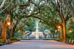 Optometry Practice for Sale Georgia